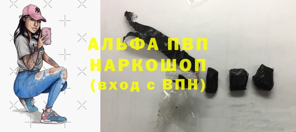 мяу мяу мука Инта