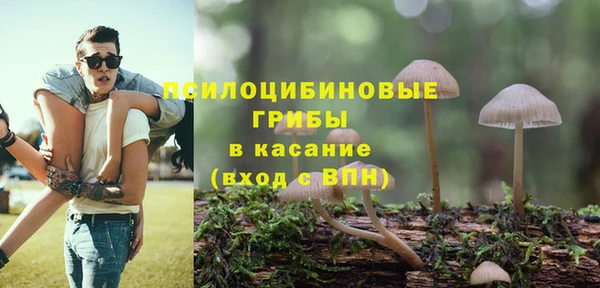 MESCALINE Иннополис